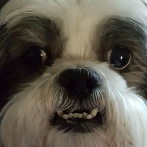 Meet your Posher, Karla