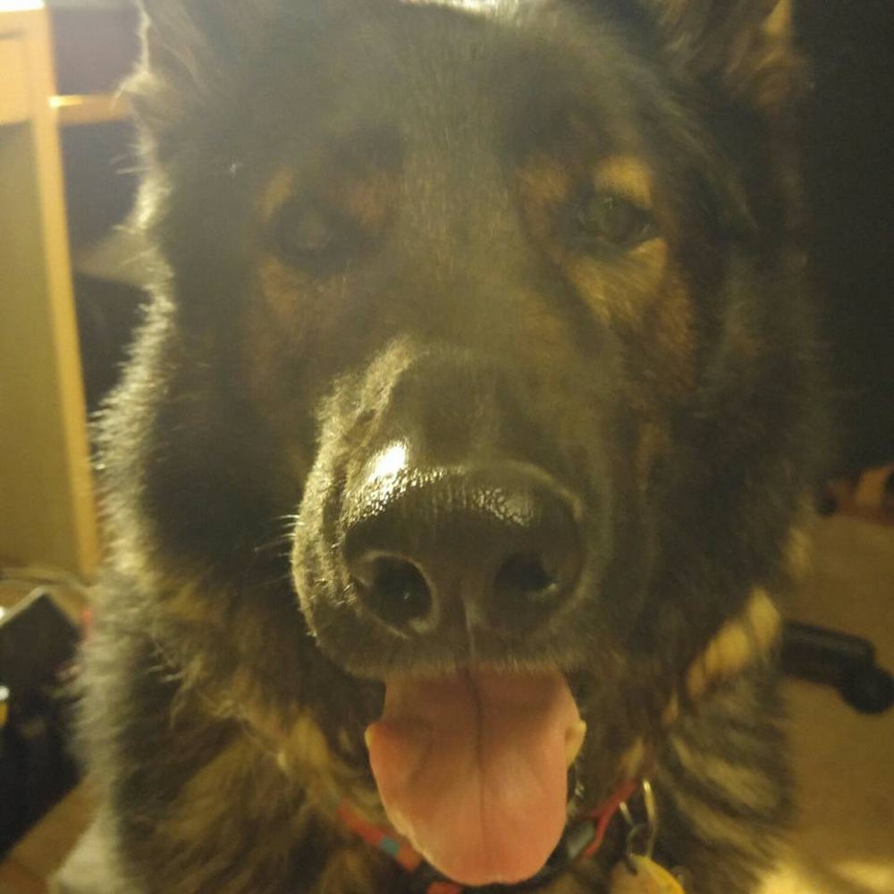 Meet your Posher, Elaine