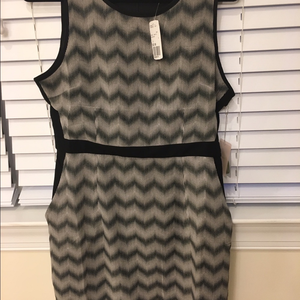 NWT Forever 21 dress size L