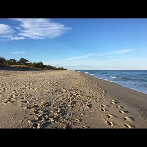 Meet your Posher, Nora