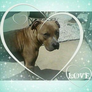 Meet your Posher, Dawn