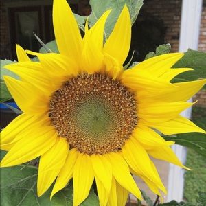 Meet your Posher, Ashleigh