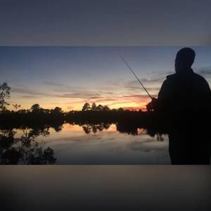 Meet your Posher, Wesley