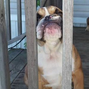 Meet your Posher, Connie