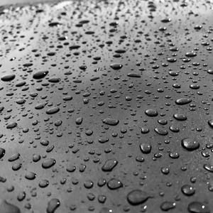 Meet your Posher, Donavon