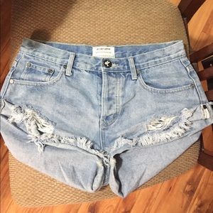 One teaspoon free people edition shorts