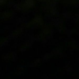 Meet your Posher, Max