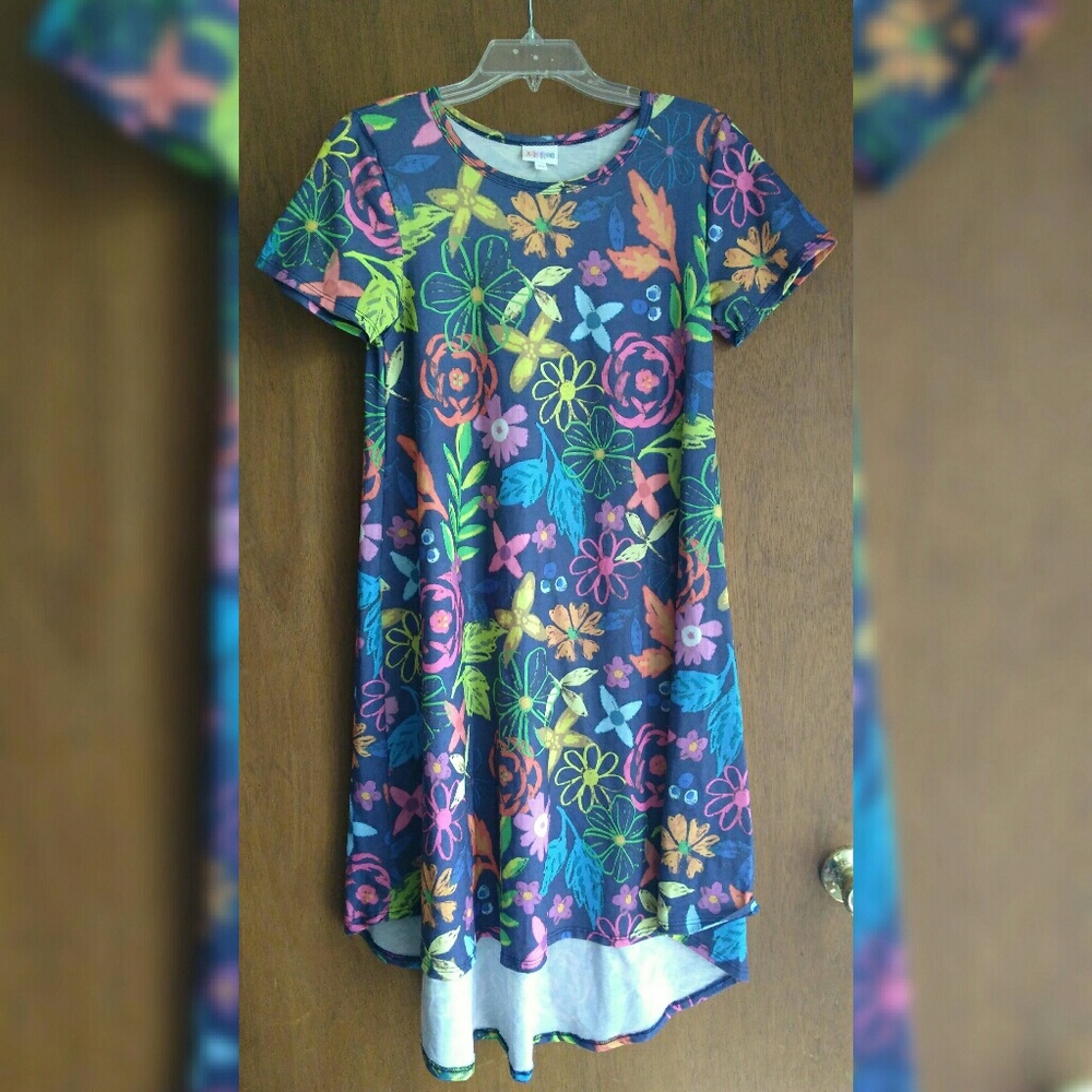Gorgeous Lularoe Carly Dress XS