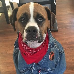 Meet your Posher, Summer