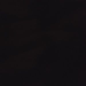 Meet your Posher, Regina