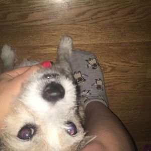 Meet your Posher, Katie