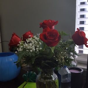 Meet your Posher, Katrina