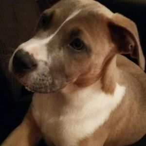 Meet your Posher, Rita