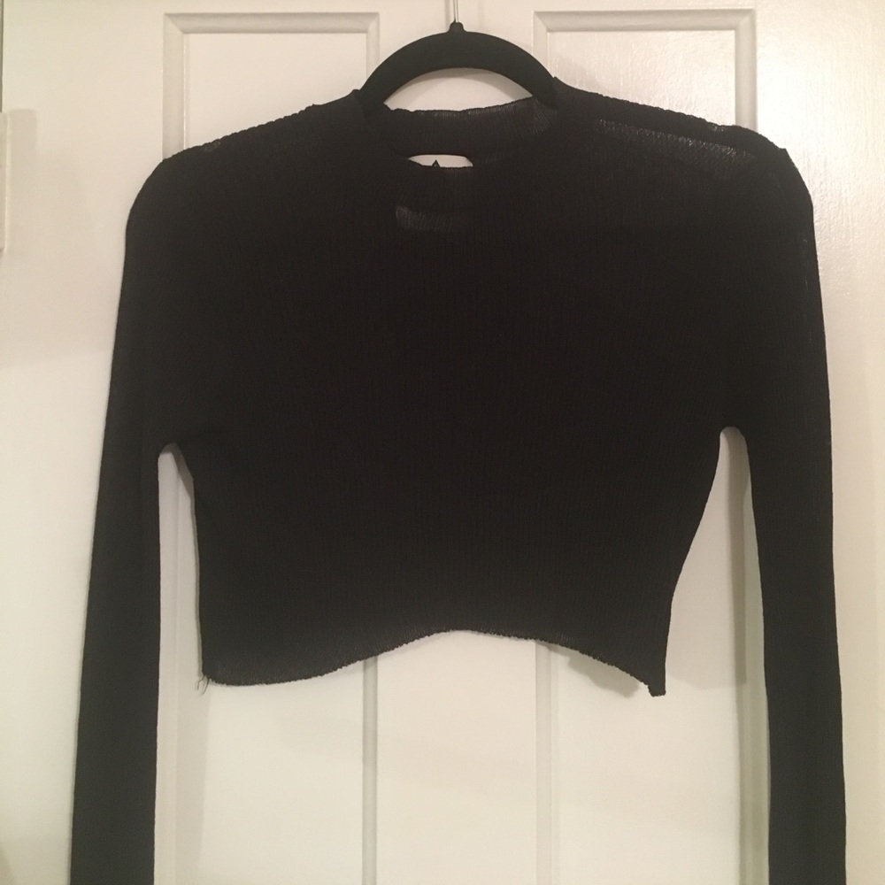 NWOT Nasty Gal Sheer Crop Top