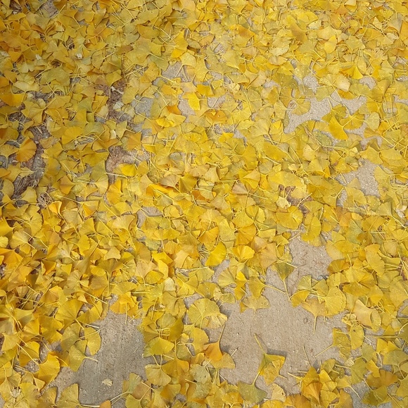 Please comment before making a purchase :) - Picture 1 of 1