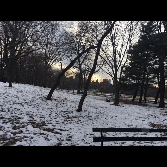 Meet your Posher, Dawa - Picture 1 of 1