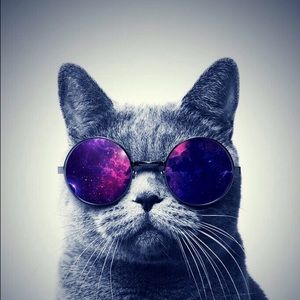 Meet your Posher, Eduardo