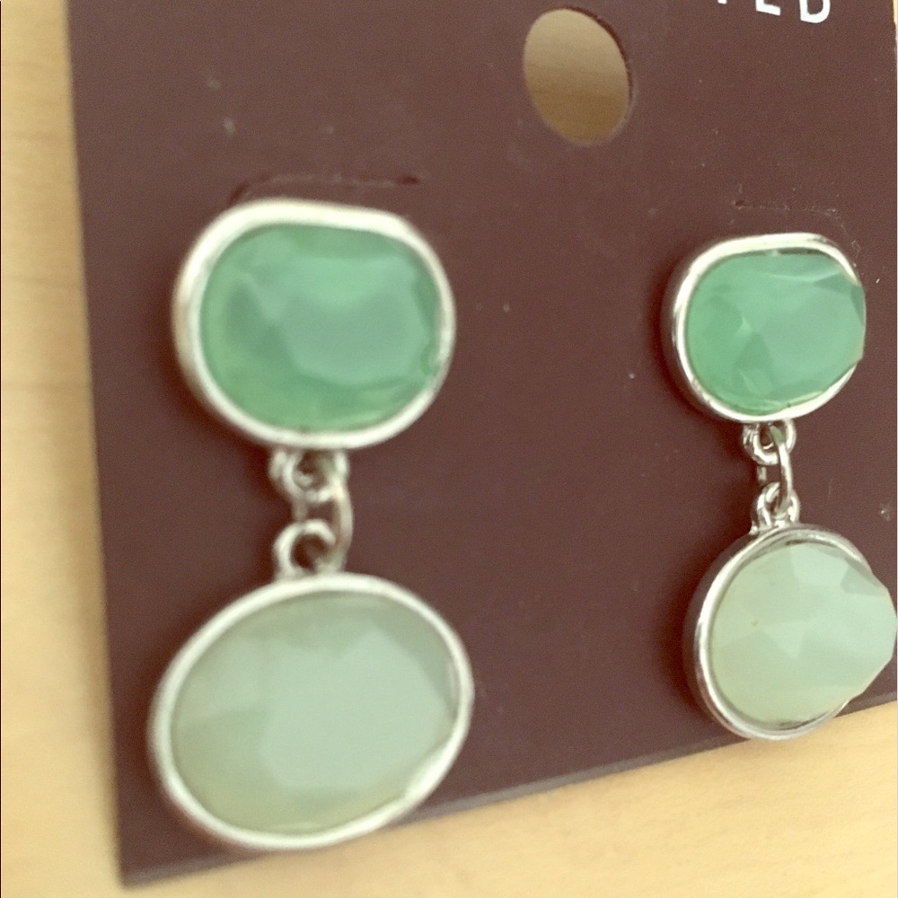 The Limited Green and Mint Two-Tone earrings