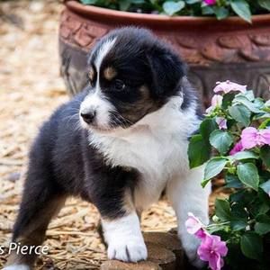 Meet your Posher, Phyllis