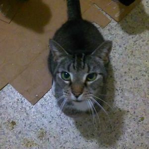 Meet your Posher, Haida