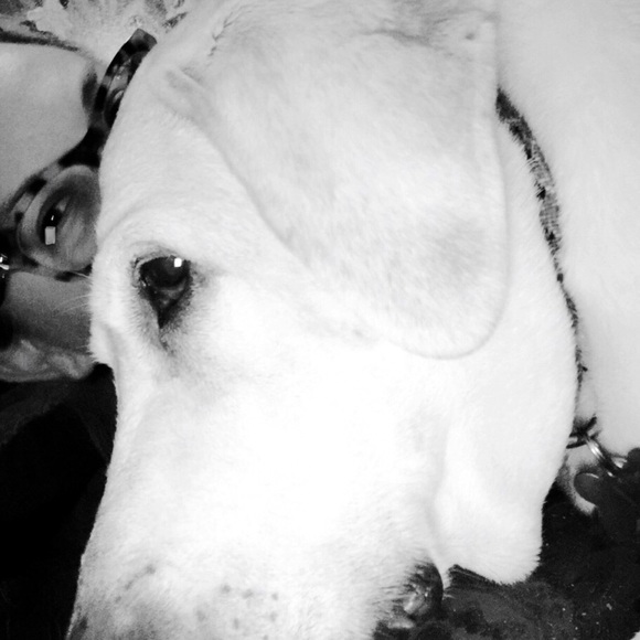 ✨🌟✨I’m now a Posh Ambassador!! ✨🌟✨ - Picture 4 of 8