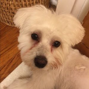 Meet your Posher, Aneta