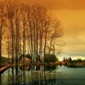 Meet your Posher, Arlene