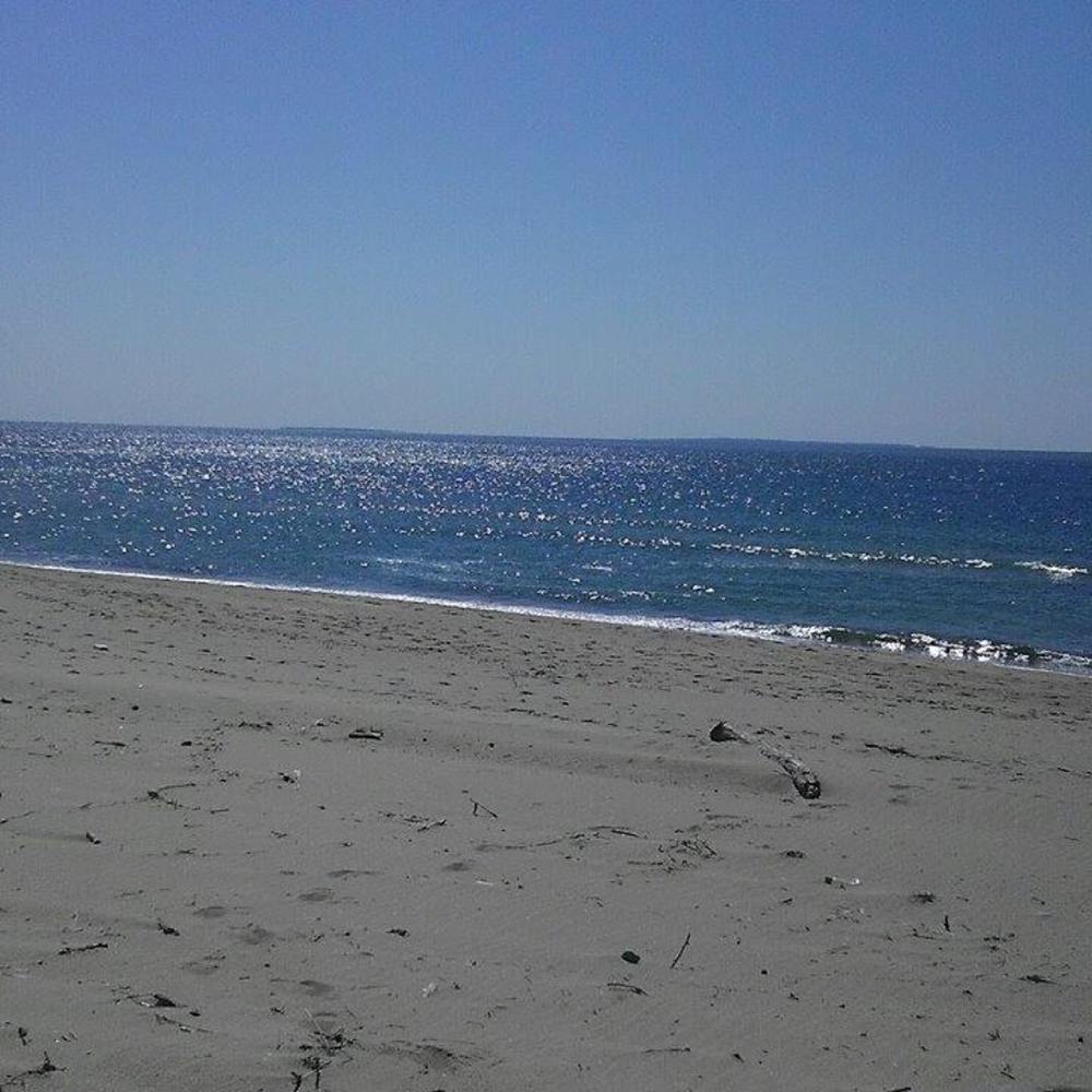 Meet your Posher, Ro