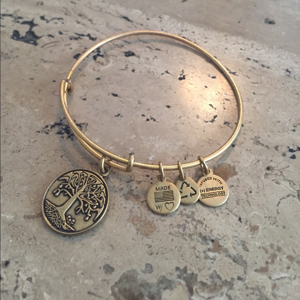 Alex and Ani Tree of Life Energy Bracelet