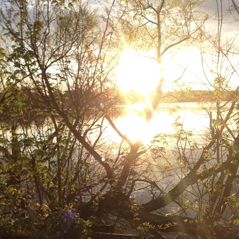 Meet your Posher, Bart