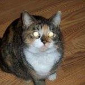 Meet your Posher, Brenda