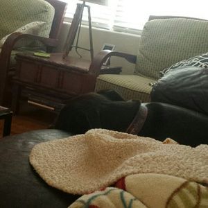 Meet your Posher, Mattie