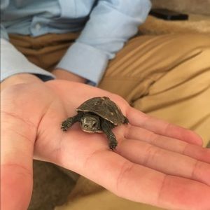 Meet your Posher, Lindie