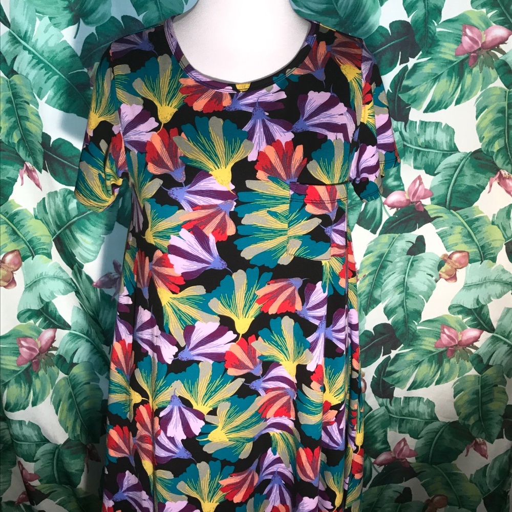 Gorgeous Lularoe Carly