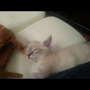 Meet your Posher, Michelina