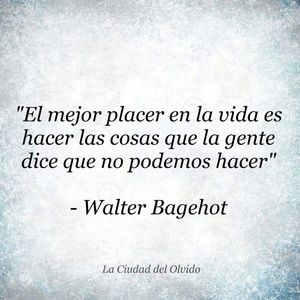 Meet your Posher, Yisel