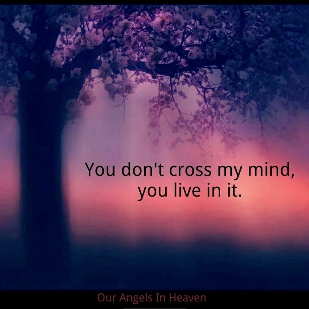 Meet your Posher, Yesenia