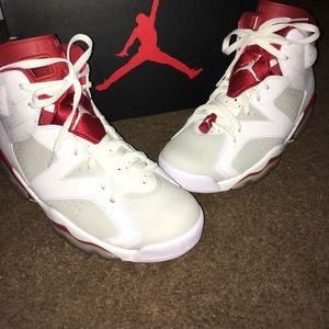Air Jordan Retro 6 "Alternates"