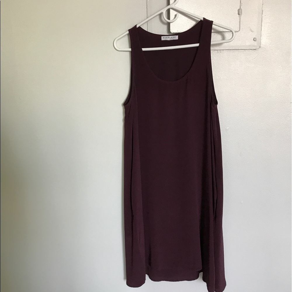 Everlane Silk Tank Dress