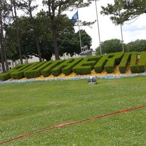 Meet your Posher, Damoan