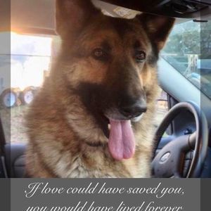 Meet your Posher, Mary