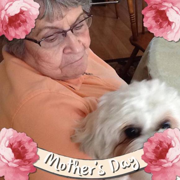Meet your Posher, Linda - Picture 1 of 1