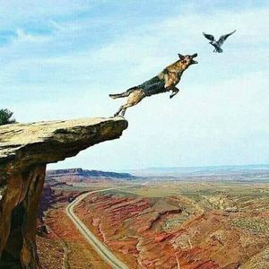 Meet your Posher, Kevin