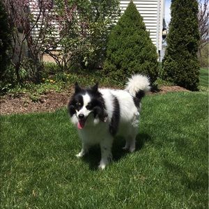 Meet your Posher, Rabab