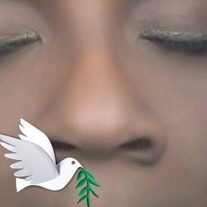 Meet your Posher, Jerrell