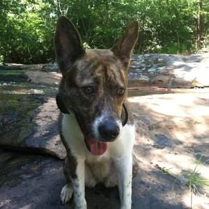 Meet your Posher, Annette