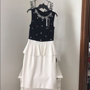 Cynthia Steffe dress