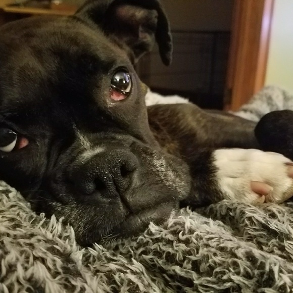 Meet your Posher, K - Picture 1 of 1