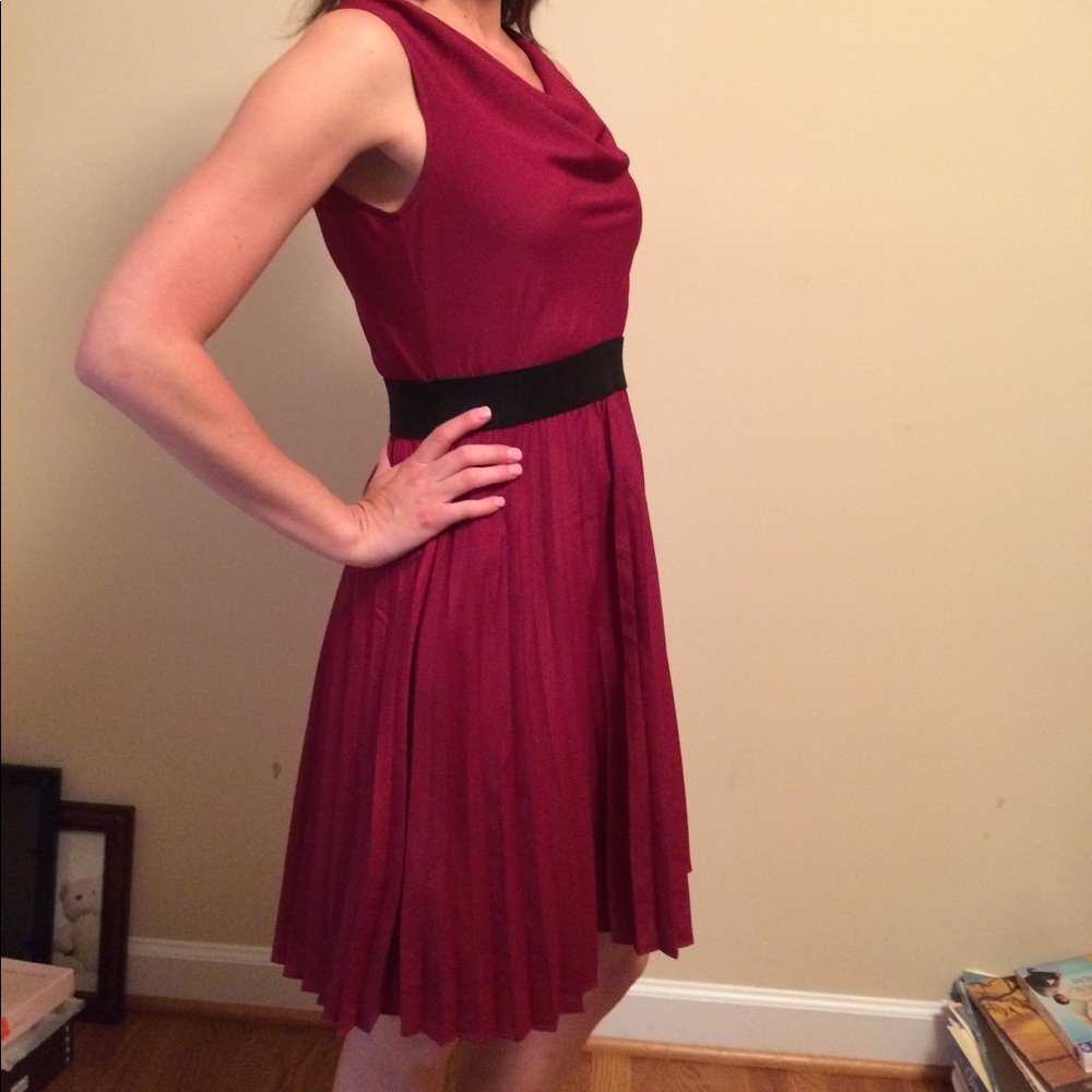 The Limited size XS burgundy dress - Picture 1 of 4