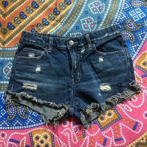 Free People High Waisted Shorts